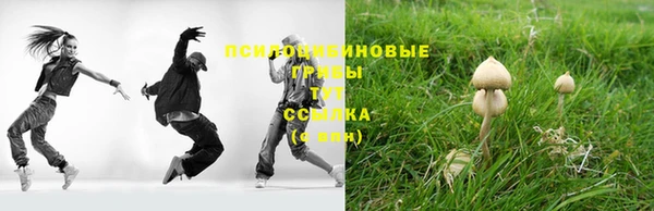 МДПВ Кукмор