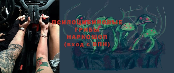МДПВ Кукмор