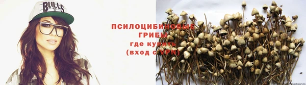 PSILOCYBIN Куйбышев