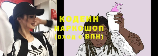 МДПВ Кукмор