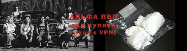 PSILOCYBIN Куйбышев