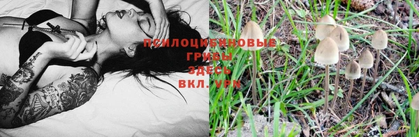 PSILOCYBIN Куйбышев