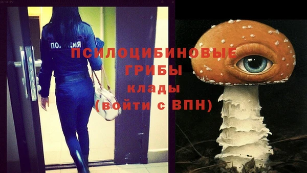 МДПВ Кукмор