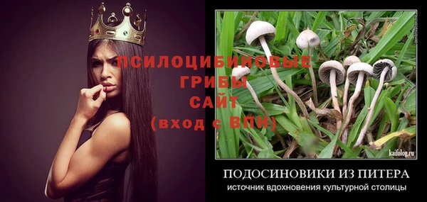 PSILOCYBIN Куйбышев
