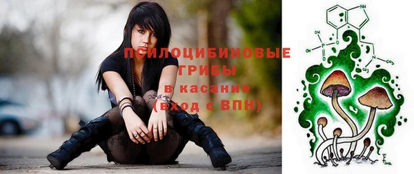 МДПВ Кукмор